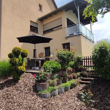 Apartament Zum Buchenblick Sankt Wendel Zewnętrze zdjęcie