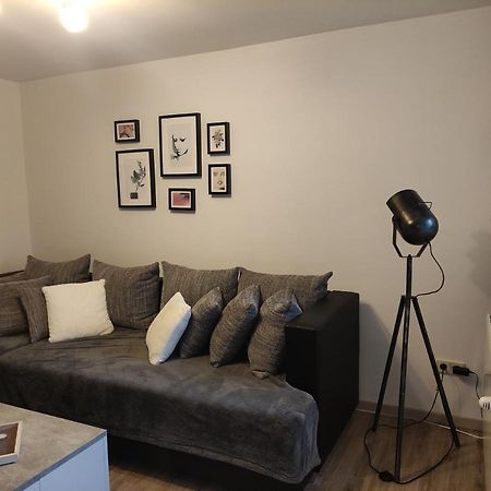 Apartament Zum Buchenblick Sankt Wendel Zewnętrze zdjęcie